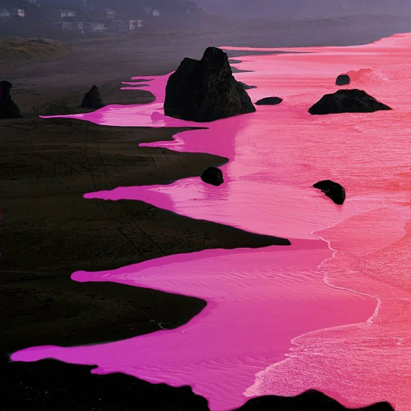 Pink Shore, Lens image 04